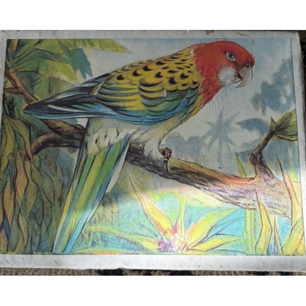 Antique Vtg Wood Block Cube Puzzle Forest Animals Birds  6 Puzzles 12 Blocks
